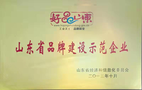 2013年山东省品牌建设示范企业