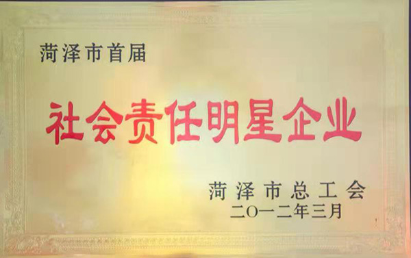2012年社会责任明星企业